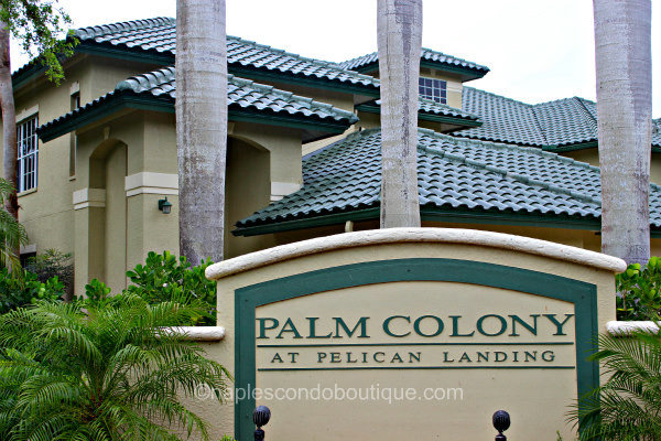 palm colony at pelican landing - bonita springs