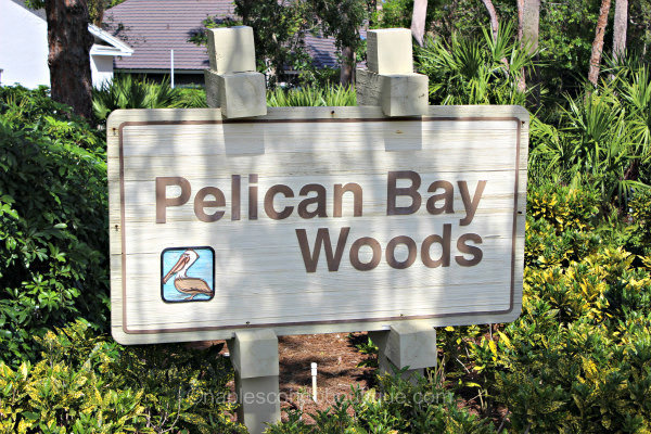 pelican bay woods - naples fl