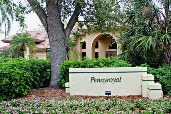 pennyroyal at pelican landing - bonita springs