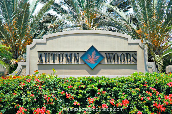 Autumn Woods Naples Real Estate