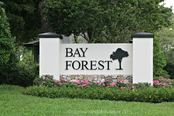 Bay Forest Naples Real Estate