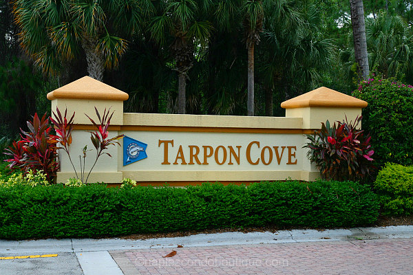 Tarpon Cove Naples Real Estate for sale
