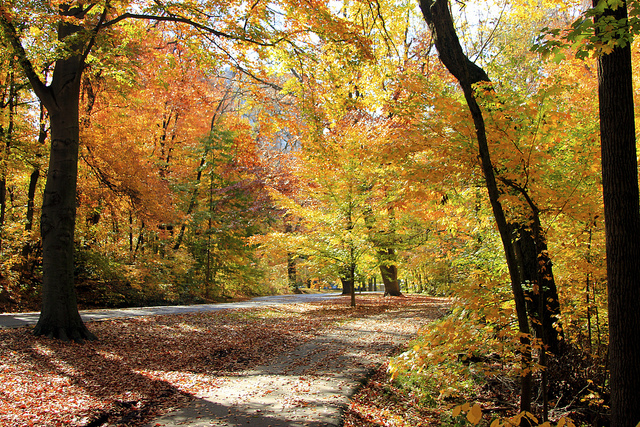 Cherokee Park