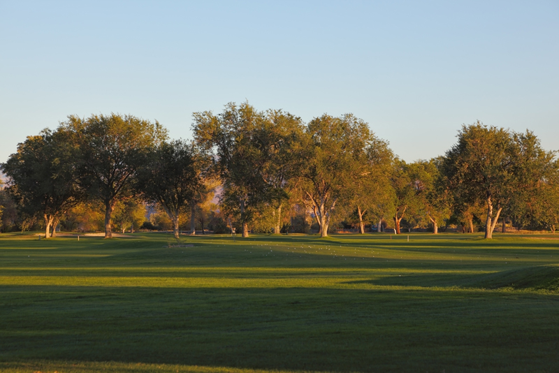 Polo Fields KY Homes for Sale Louisville, Kentucky Real Estate