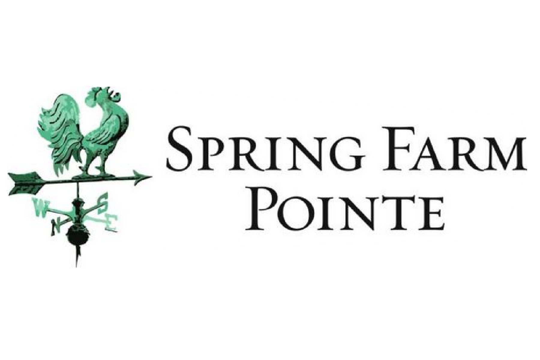 SPRING FARM POINT HOMES FOR SALE