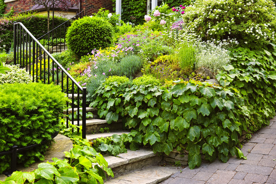easy ways to boost curb appeal