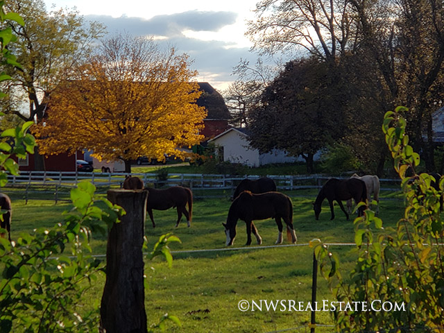 communities/niche-horse-equestrian-bull-valley-mchenry-county-real-estate