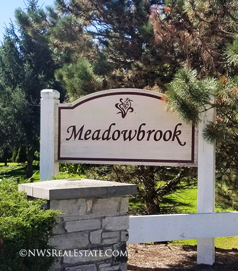 Homes in Meadowbrook Lake in the Hills