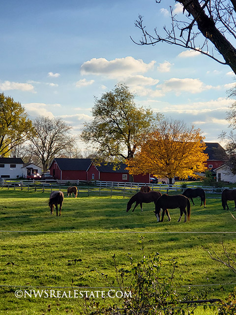horse properties in the nw suburbs of chicago