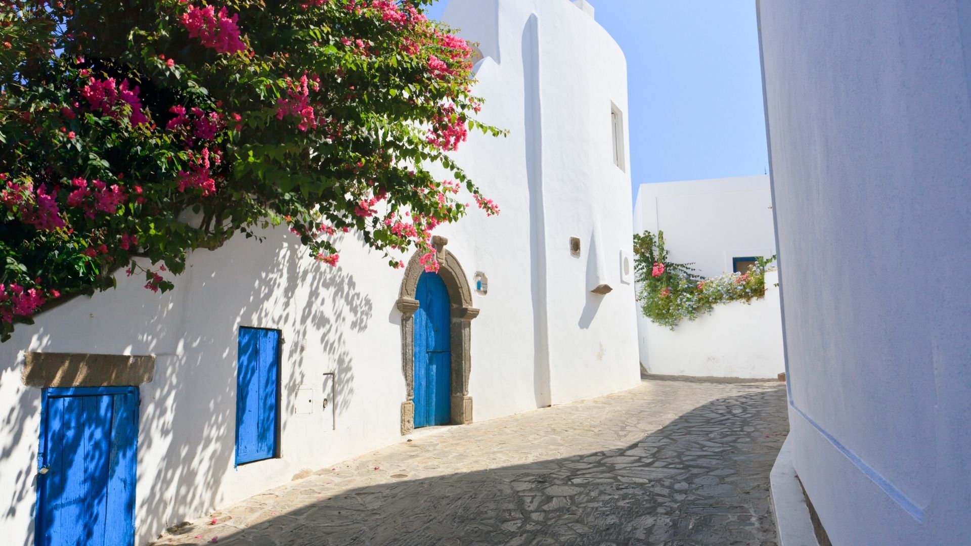 Mediterranean
