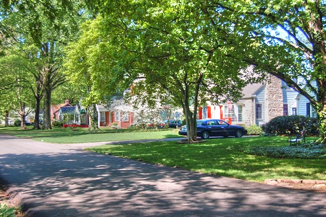 Tree Lined St Matthews Street