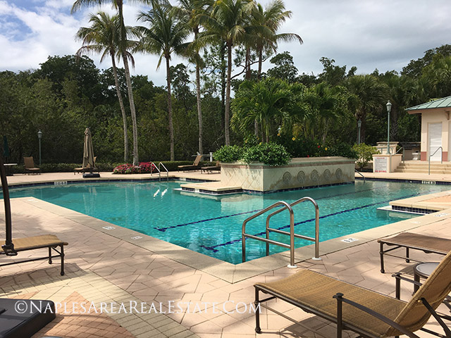 cove-towers-calypso-club-pool