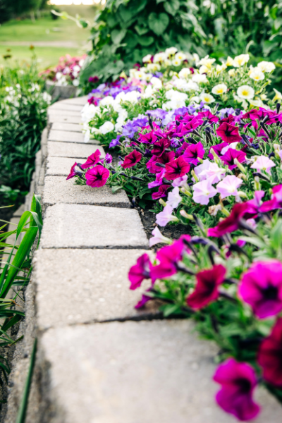 3 Reasons to Sell Your Home This Spring 