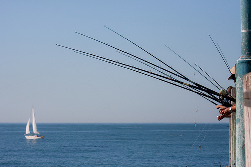 Selling your home is like fishing. The question is, how do you