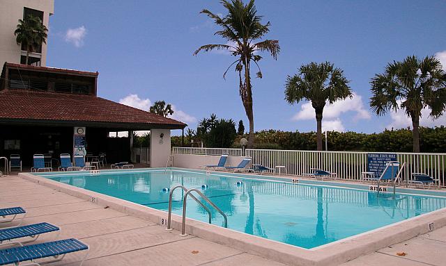 Sarasota Swimming Pool