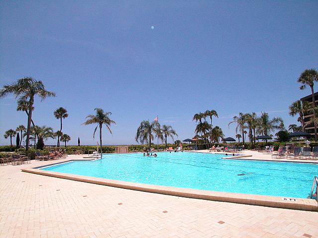 Gulf and Bay Swimming pool