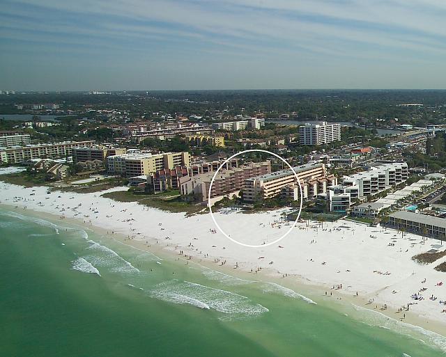 Shellebrate Nature's Gifts: Shelling and Shells in Sarasota