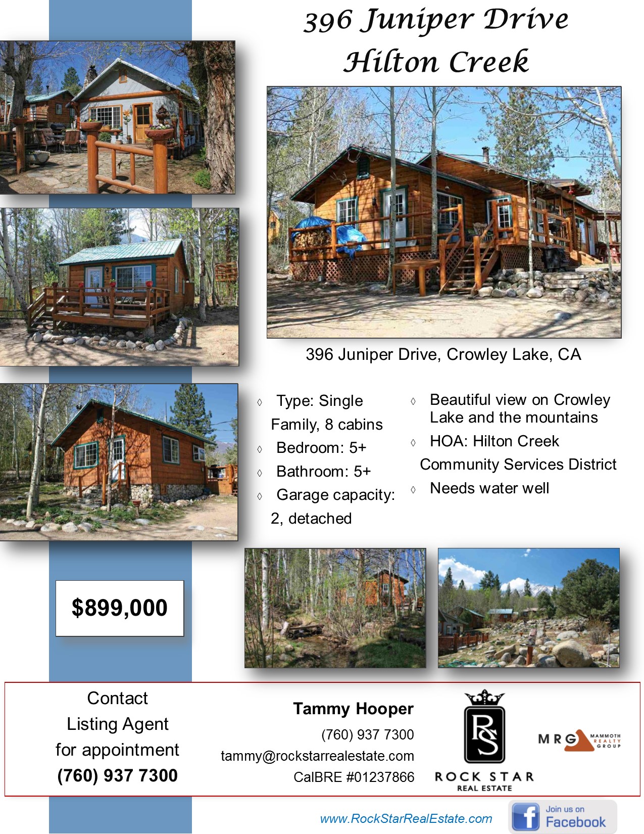 396 uniper Drive, Hilton Creek flyer