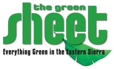 the sheet logo