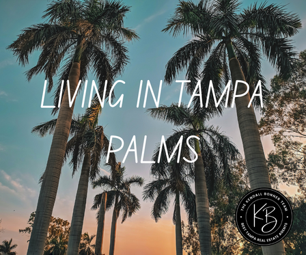 Living in Tampa Palms