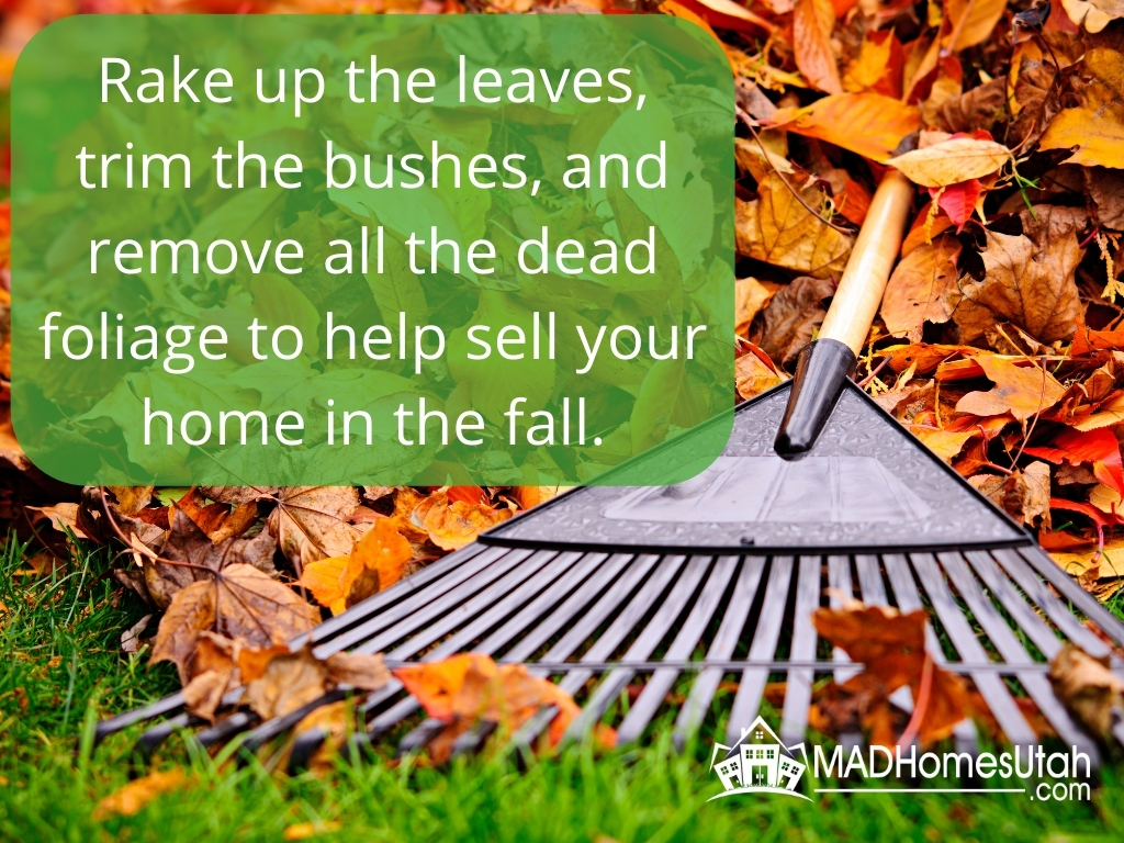 Image of leaves being raked up.