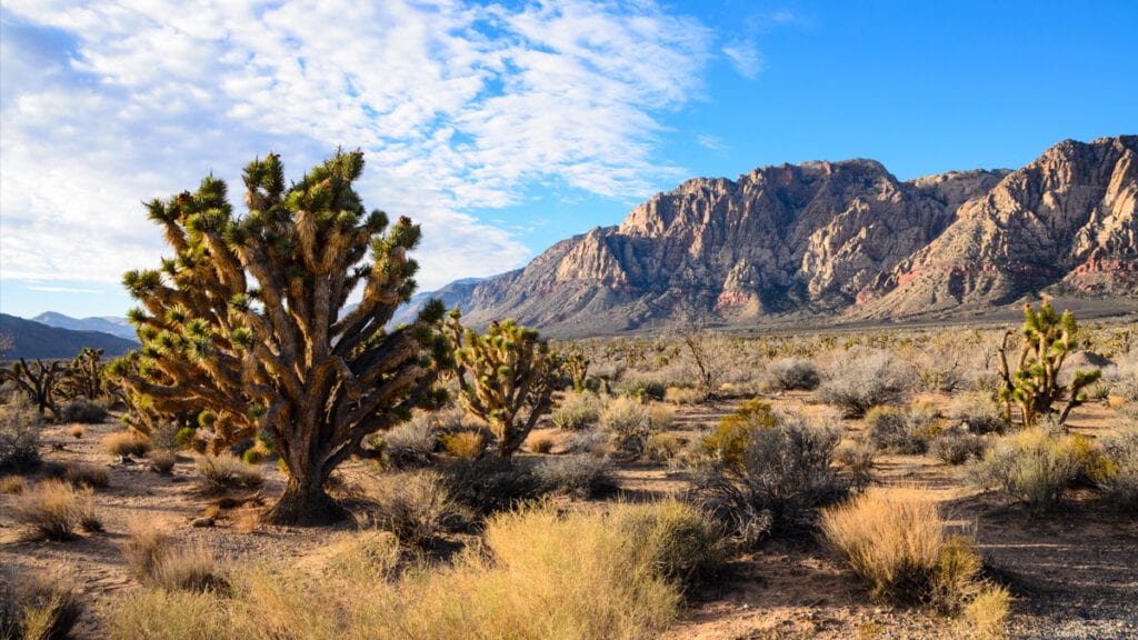 red rock desert landsape daytime