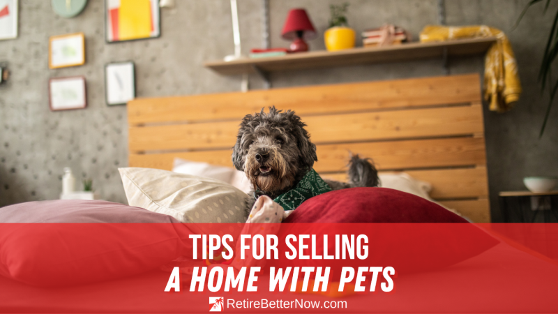 Tips for Selling a Home with Pets