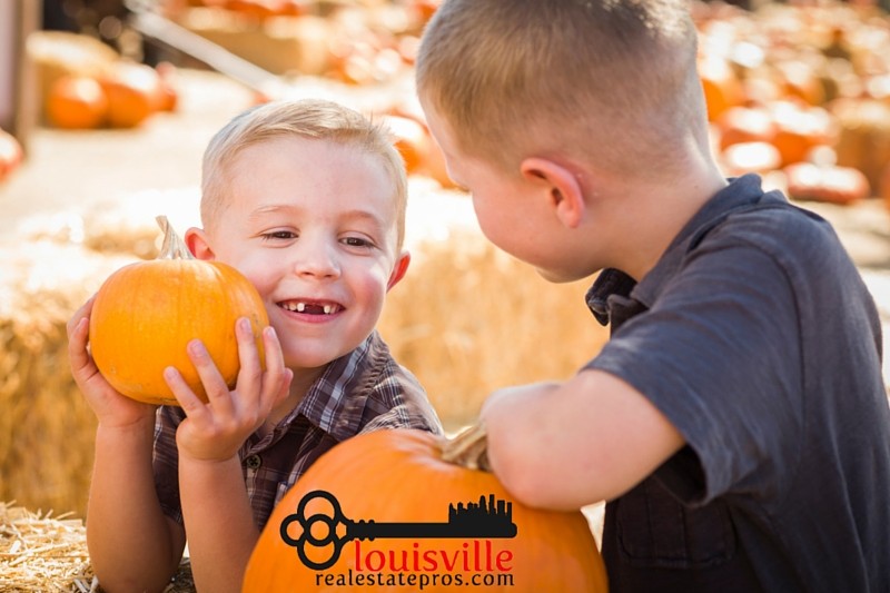 Visiting the Perfect Pumpkin Patch Around Louisville, KY.