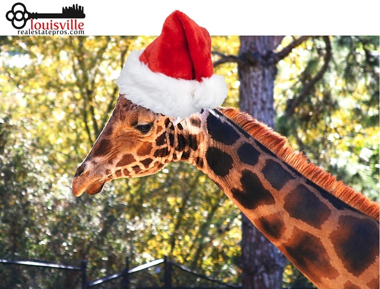 The Louisville Zoo's Santa Safari The Louisville Zoo's Santa Safari