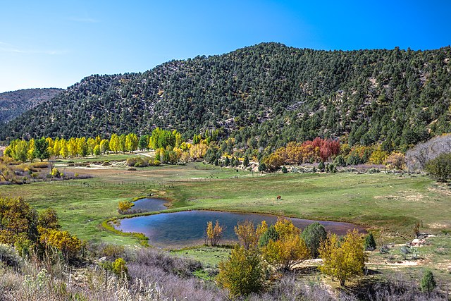 Duck Creek Village Homes for Sale Duck Creek Village Homes for Sale