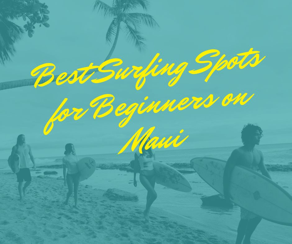 Best Surfing Spots for Beginners on Maui