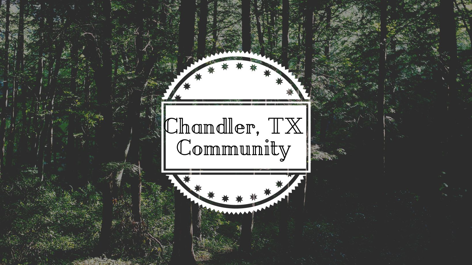 Chandler TX Information