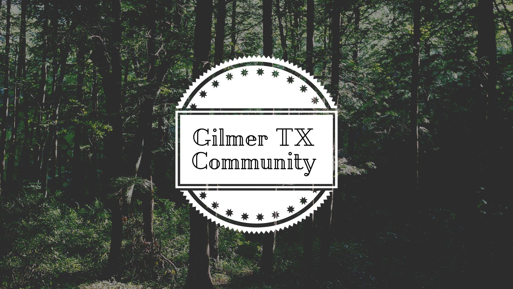 Gilmer TX Information