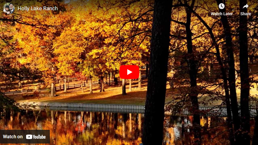 Holly Lake Video