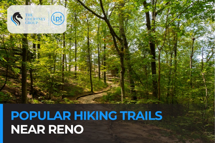 Popular Hiking Trails Near Reno