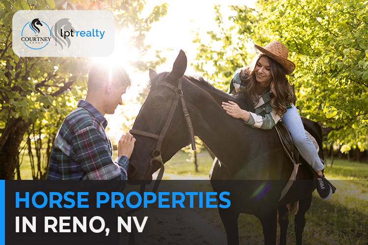 Reno, NV Horse Properties for Sale