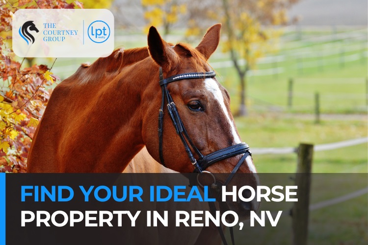 Find Your Ideal Horse Property in Reno, NV