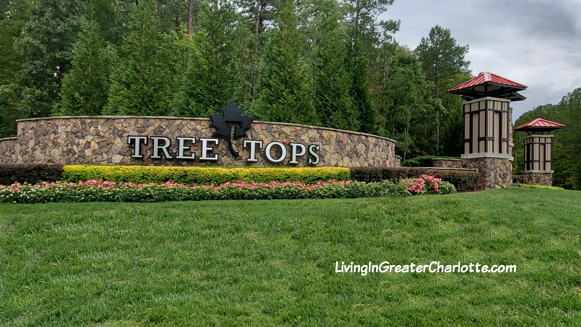Treetops 55+ Community in Lancaster SC Homes for Sale