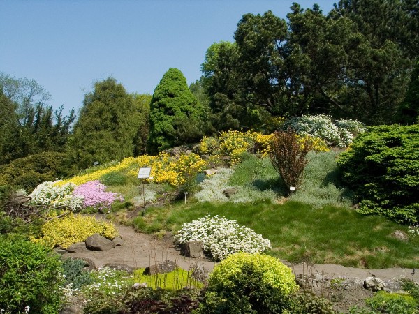 botanical garden