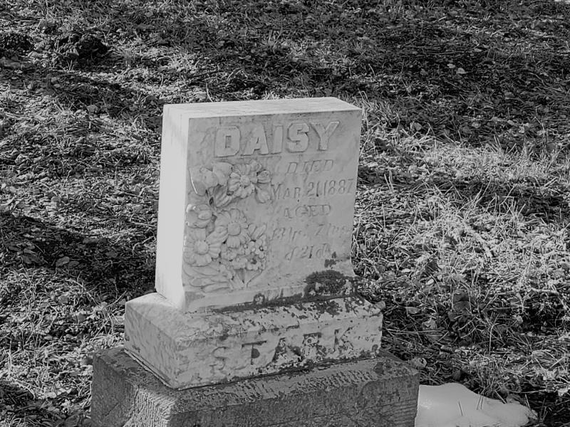Como Cemetery "Daisy" Headstone