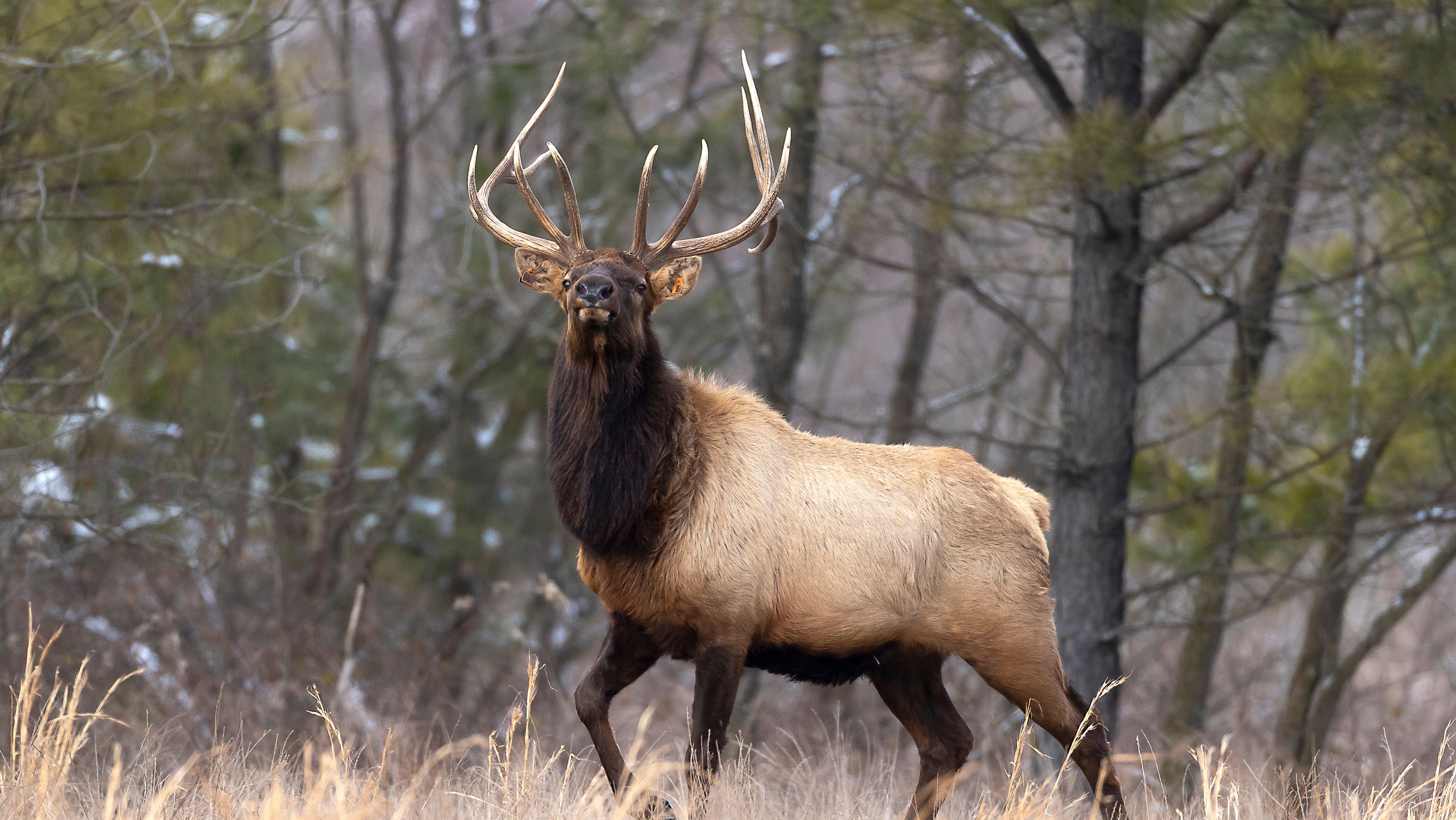 Explore the Best Hunting Land in Park County, Colorado - Your