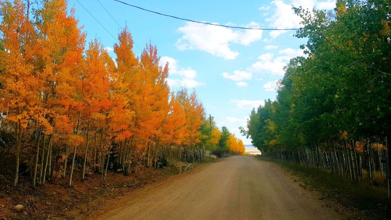 Colorado Fall Colors
