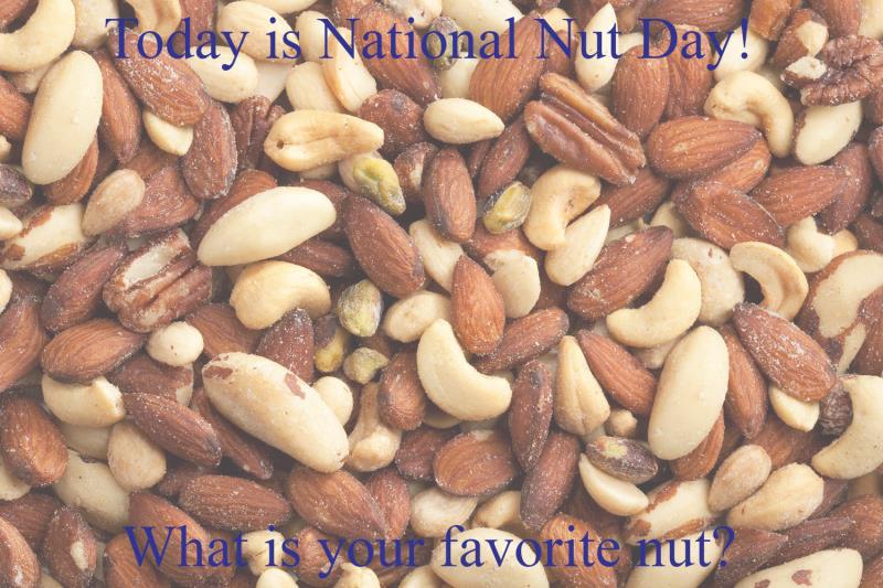 Salted Nuts