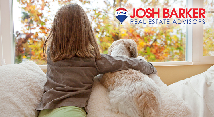 Little girl and her dog inside a room, in front of a window, looking outside