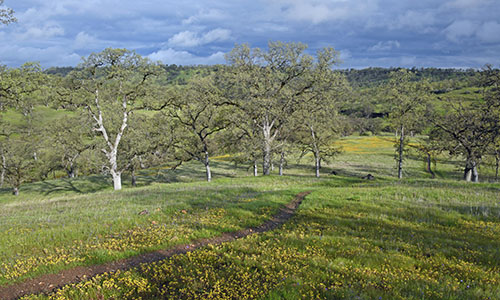 Red Bluff