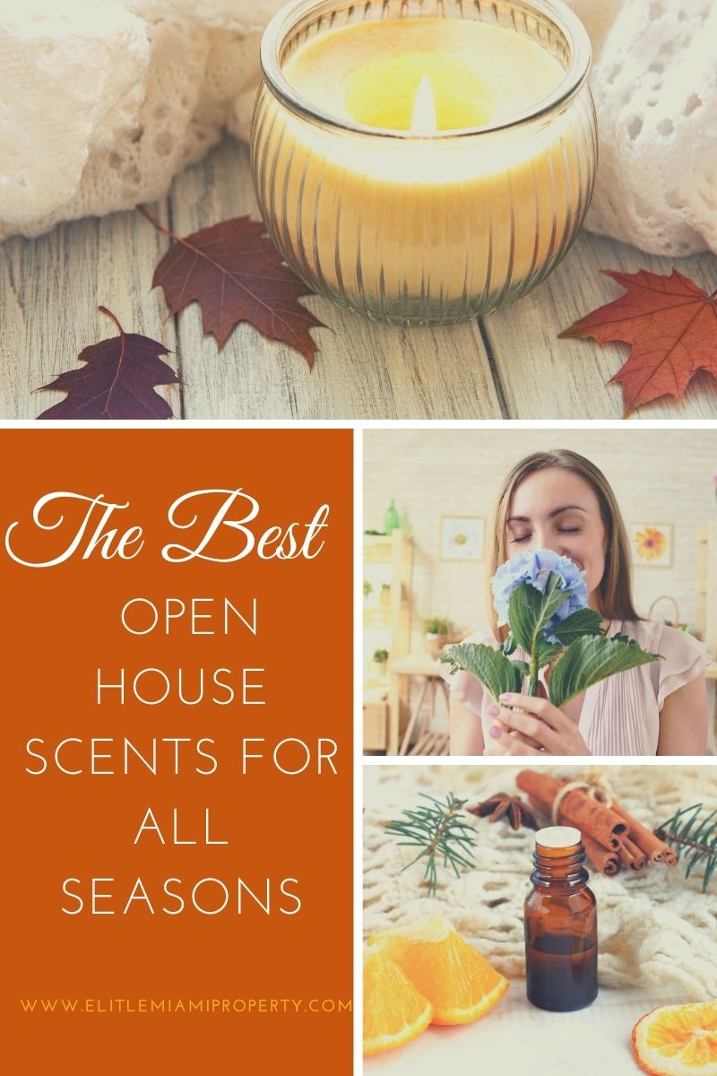 The Best Open House Scents for All Seasons