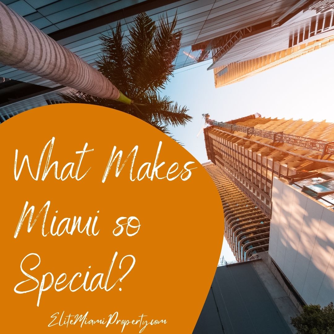 What Makes Miami so Special?