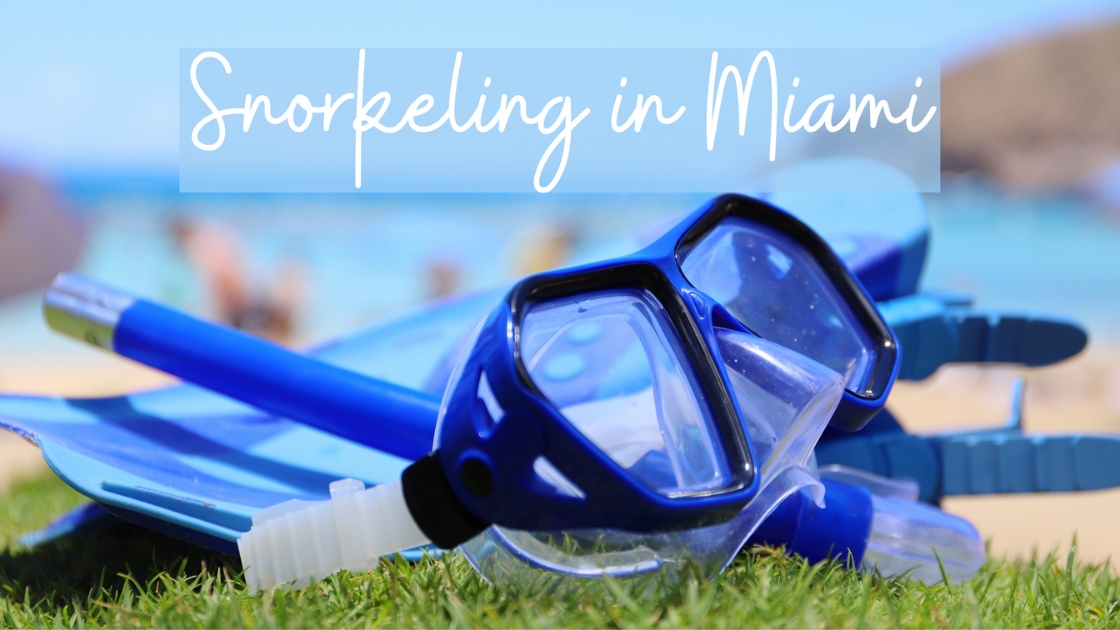What You Need for the Perfect Day of Snorkeling in Miami