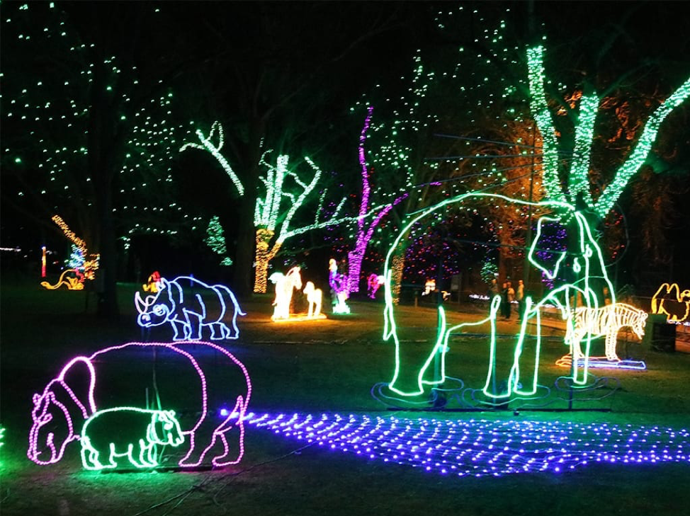 The Zoo Lights: Illuminated with Life