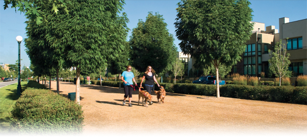 29th Ave Pedestrian Walk
